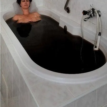 Отель Harmonia Пьештяни