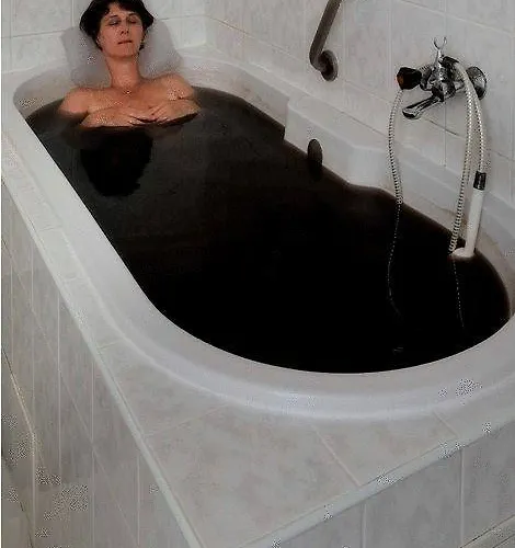 Hotel Harmonia Piest'any